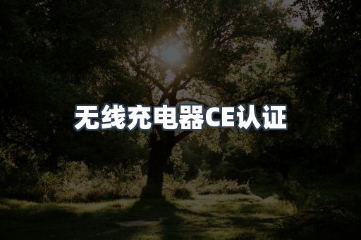 CE认证咨询服务
